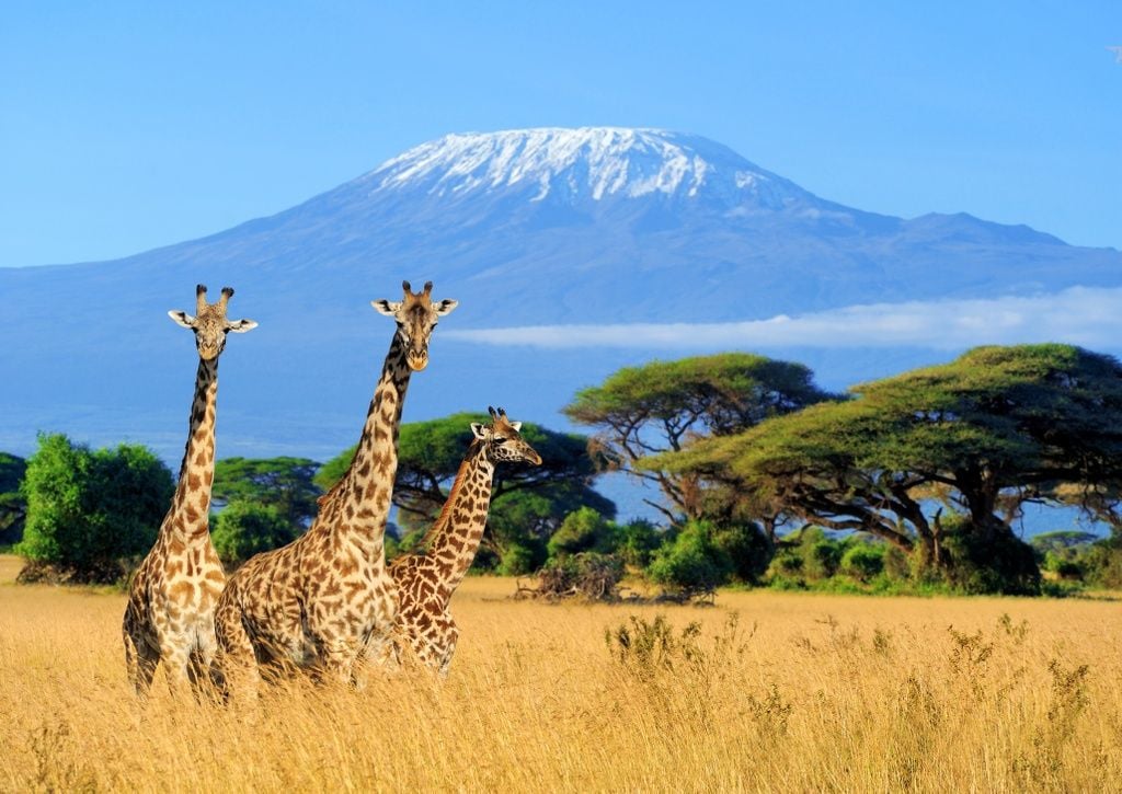Kilimanjaro facts